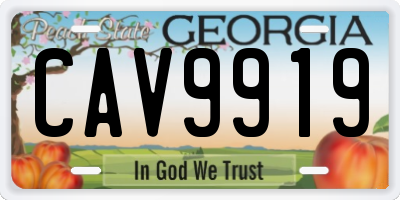 GA license plate CAV9919