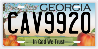 GA license plate CAV9920