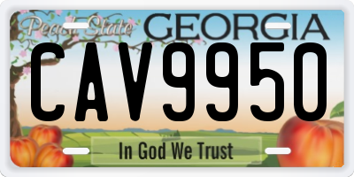 GA license plate CAV9950