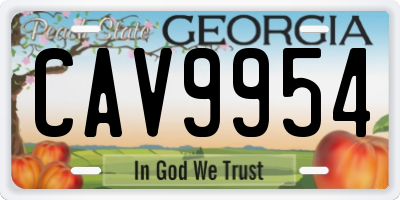 GA license plate CAV9954