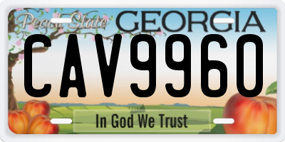 GA license plate CAV9960