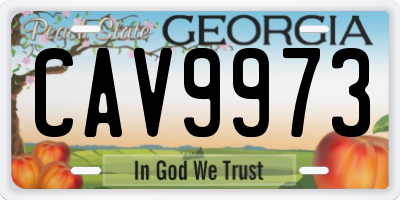 GA license plate CAV9973