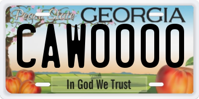 GA license plate CAW0000