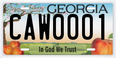 GA license plate CAW0001