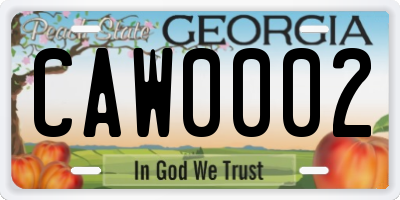 GA license plate CAW0002