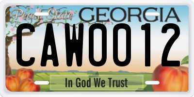 GA license plate CAW0012