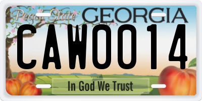 GA license plate CAW0014