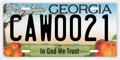 GA license plate CAW0021