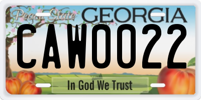 GA license plate CAW0022