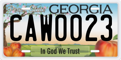 GA license plate CAW0023