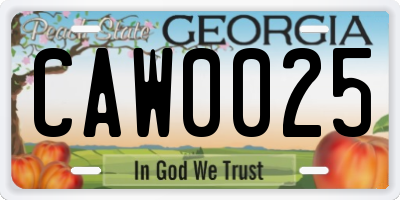 GA license plate CAW0025