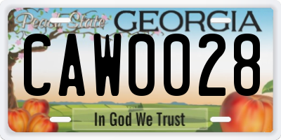 GA license plate CAW0028