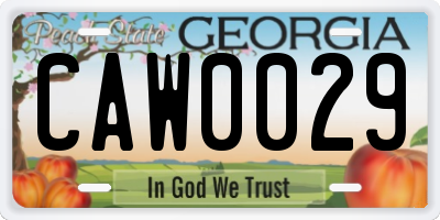 GA license plate CAW0029