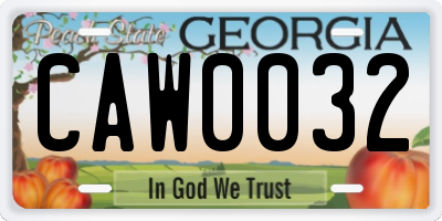 GA license plate CAW0032