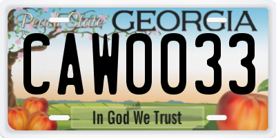 GA license plate CAW0033