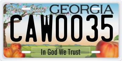 GA license plate CAW0035