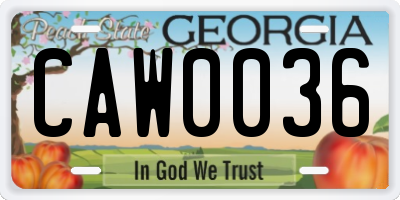 GA license plate CAW0036