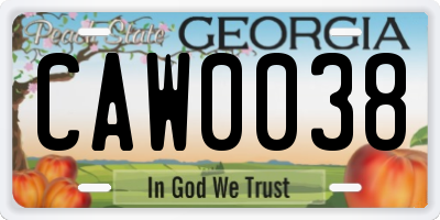 GA license plate CAW0038