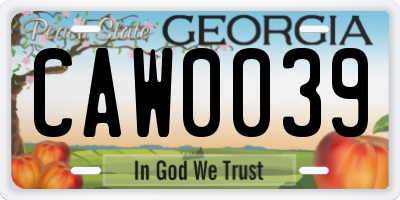 GA license plate CAW0039