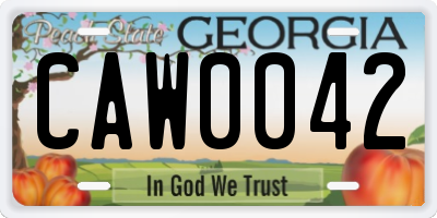 GA license plate CAW0042