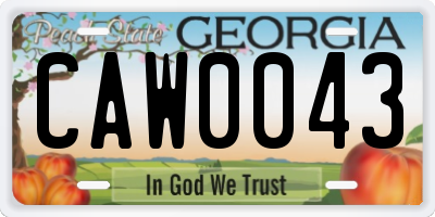 GA license plate CAW0043