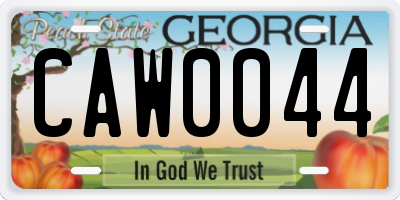 GA license plate CAW0044