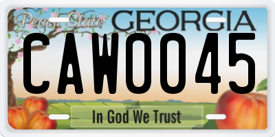 GA license plate CAW0045