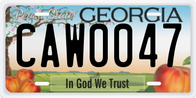 GA license plate CAW0047