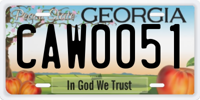 GA license plate CAW0051