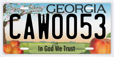 GA license plate CAW0053