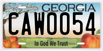 GA license plate CAW0054