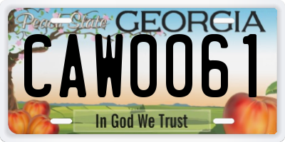 GA license plate CAW0061