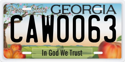 GA license plate CAW0063