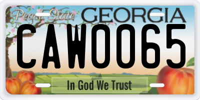 GA license plate CAW0065