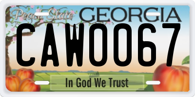 GA license plate CAW0067