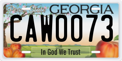 GA license plate CAW0073