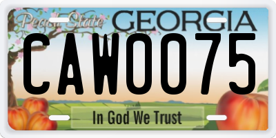 GA license plate CAW0075