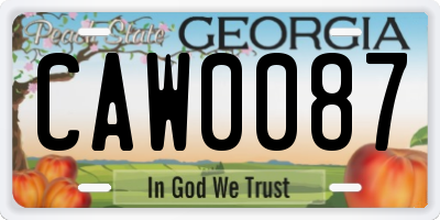 GA license plate CAW0087