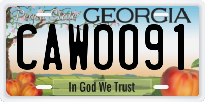 GA license plate CAW0091