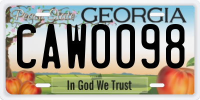 GA license plate CAW0098