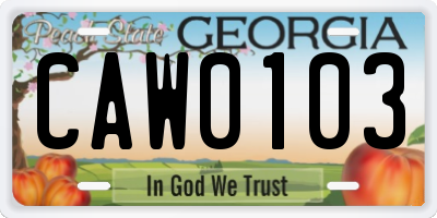 GA license plate CAW0103