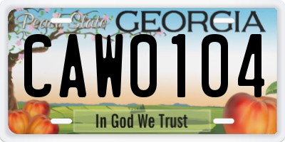 GA license plate CAW0104