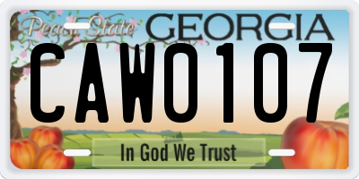 GA license plate CAW0107