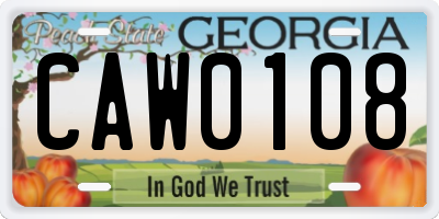GA license plate CAW0108