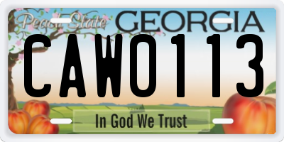 GA license plate CAW0113