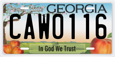 GA license plate CAW0116