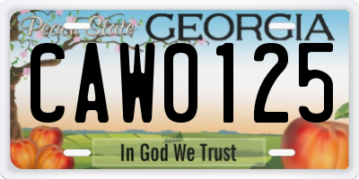 GA license plate CAW0125