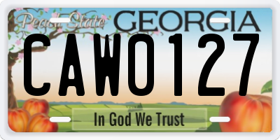 GA license plate CAW0127