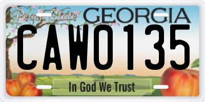 GA license plate CAW0135