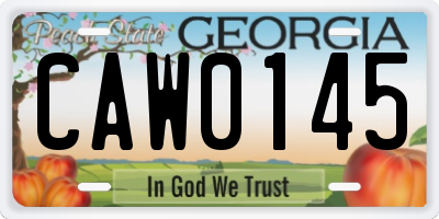 GA license plate CAW0145